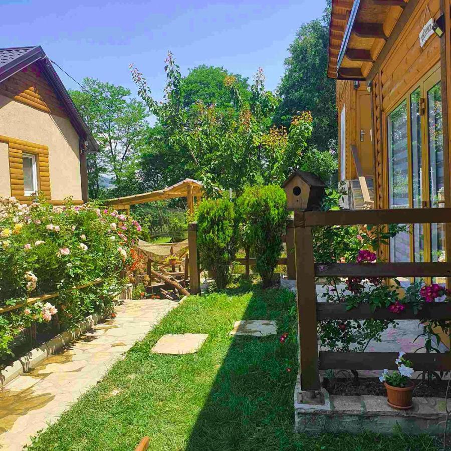 ויסוקו Apartment Little Paradise מראה חיצוני תמונה