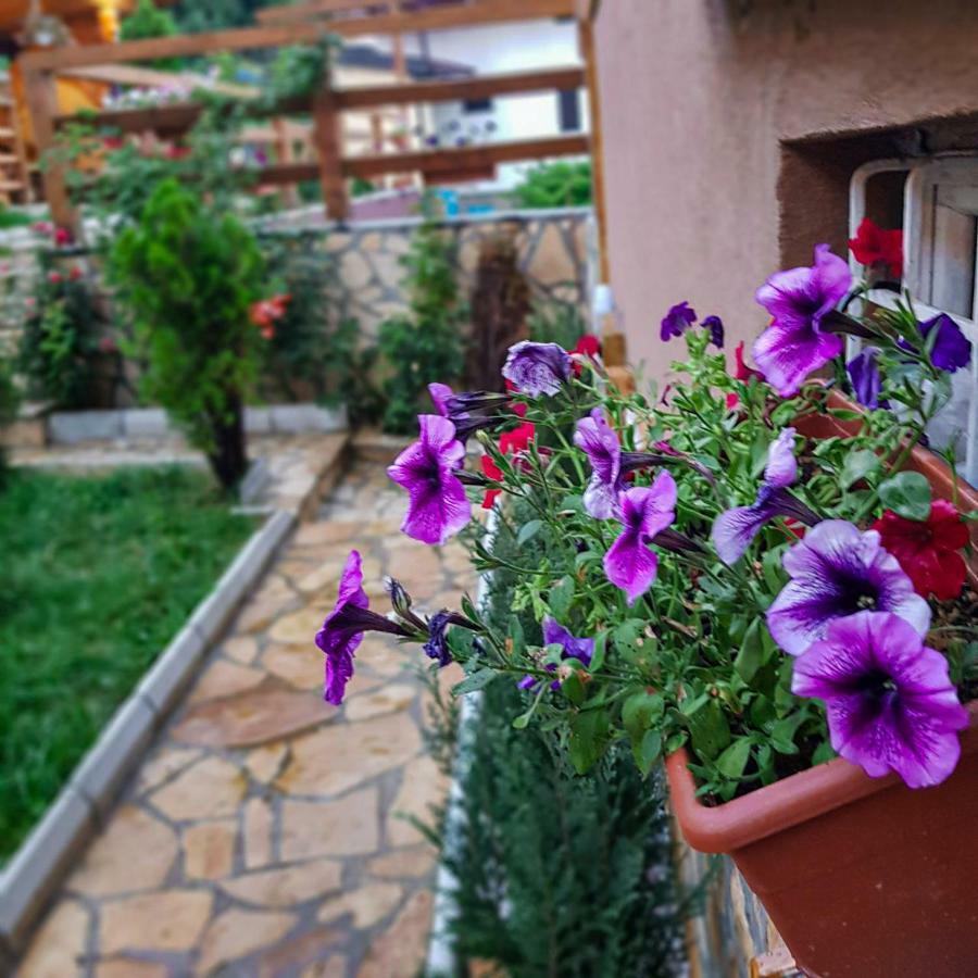 ויסוקו Apartment Little Paradise מראה חיצוני תמונה